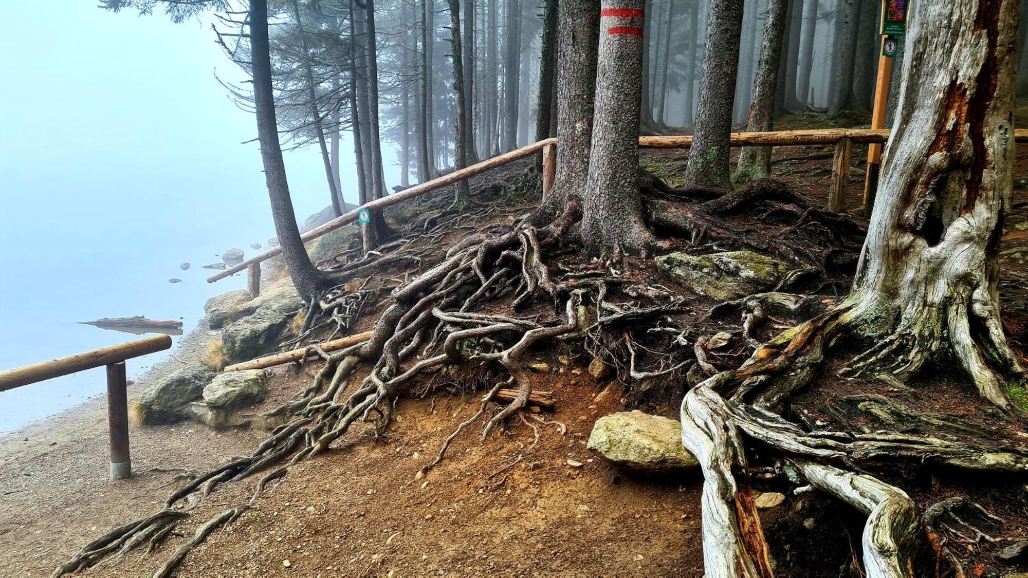 Penzion Dominik Železná Ruda Extérieur photo