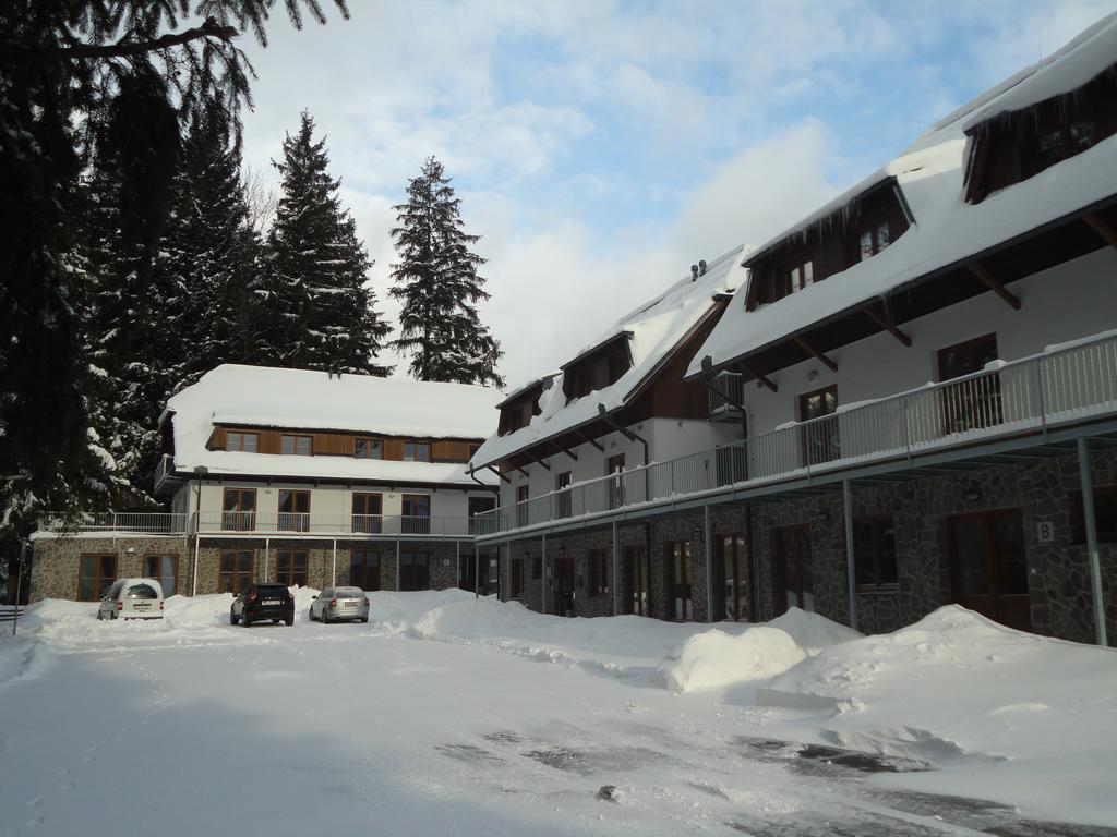 Penzion Dominik Železná Ruda Extérieur photo